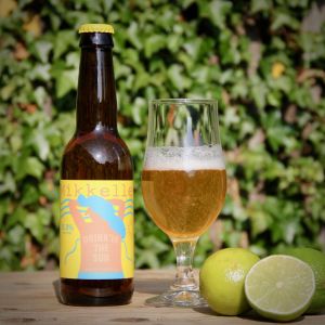 Alcoholarme pale ale test Mikkeler Drink in the sun