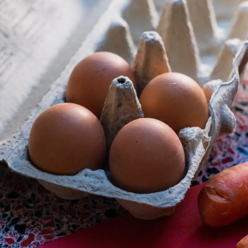 10 lekkere en gemakkelijke recepten met eieren 800x800