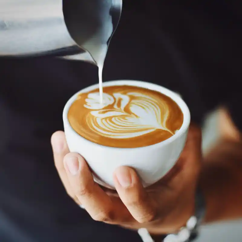 De beste ingredienten voor cappuccino 800x800
