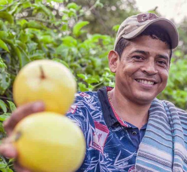 Exotisch fruit uit Colombia - Maracuya Uitgelicht