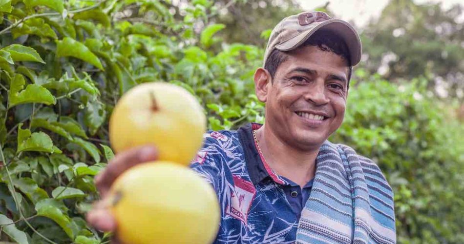 Exotisch fruit uit Colombia - Maracuya Uitgelicht