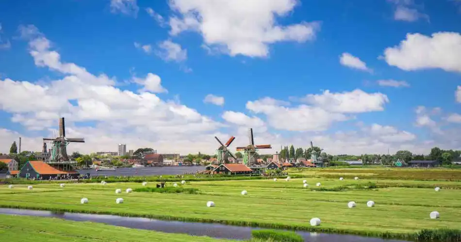 Noord-Hollandse kaas - Noord-Holland 950x500